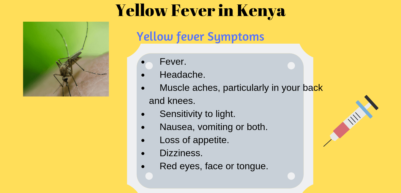 Yellow Fever Kenya